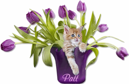 Patt_tulips-vi.gif Pictures, Images and Photos