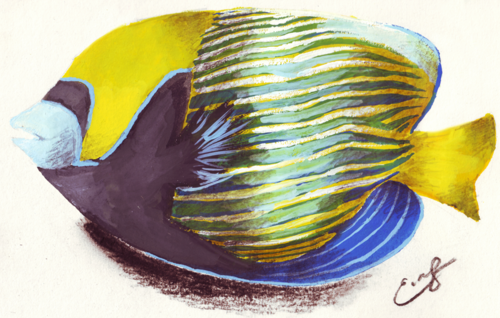 tumblr_mae68dMGi11r2s43uo1_500_zps379840