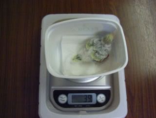 18days35grams.jpg