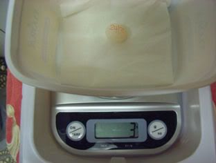 egg3grams.jpg