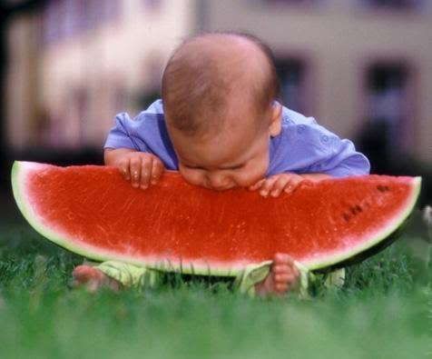 http://i273.photobucket.com/albums/jj233/sting75_2007/babywithwatermelon.jpg