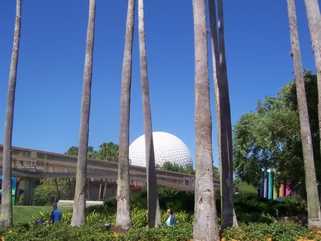 DisneyWorld2008149.jpg