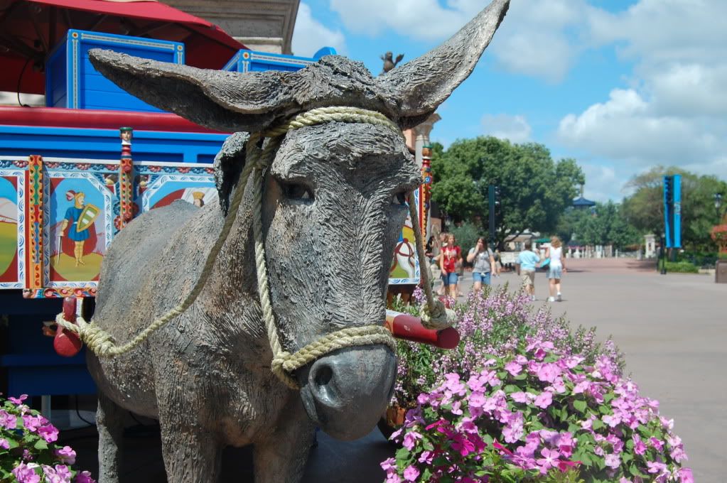 epcotbirthday055.jpg