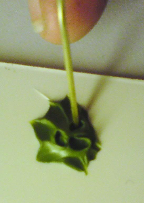 Posted Image