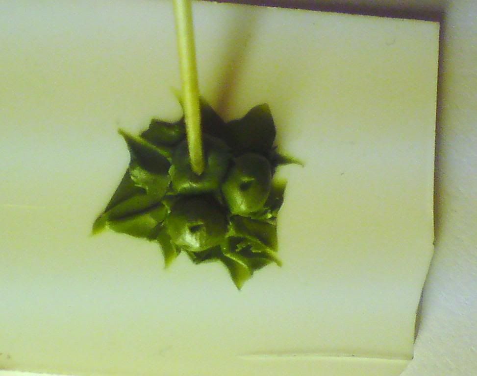 Posted Image
