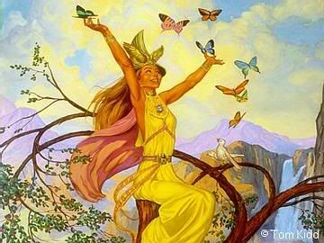 butterflies Pictures, Images and Photos