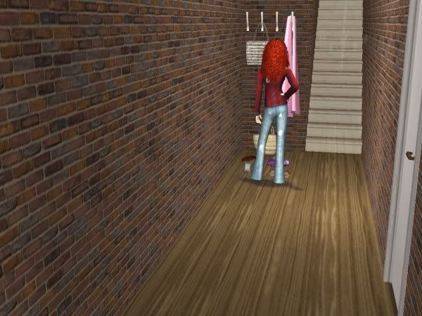 FS2.jpg