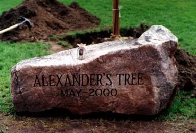 Alexander's Rock