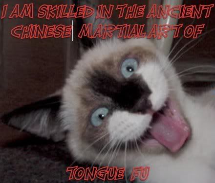 [Image: catt.jpg]