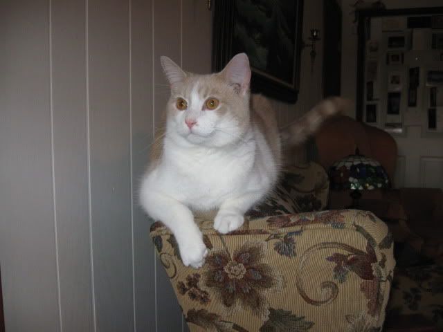 Cooper Jan. 2011