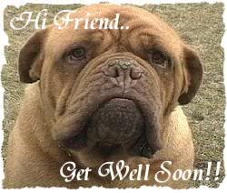 Get Well Soon Pictures, Images and Photos