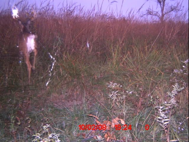 ICAM0050.jpg