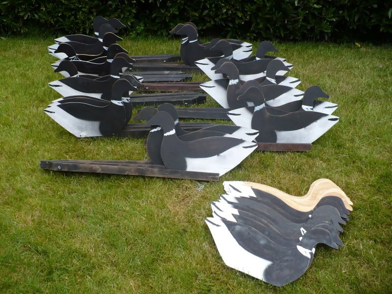 Main Forums Classifieds Homeade brant YBoards