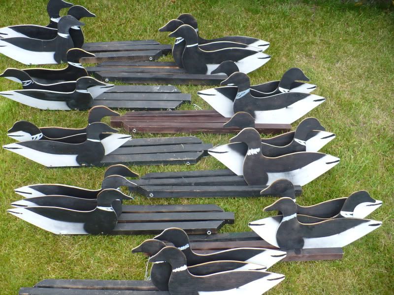 Main Forums Classifieds Homeade brant YBoards