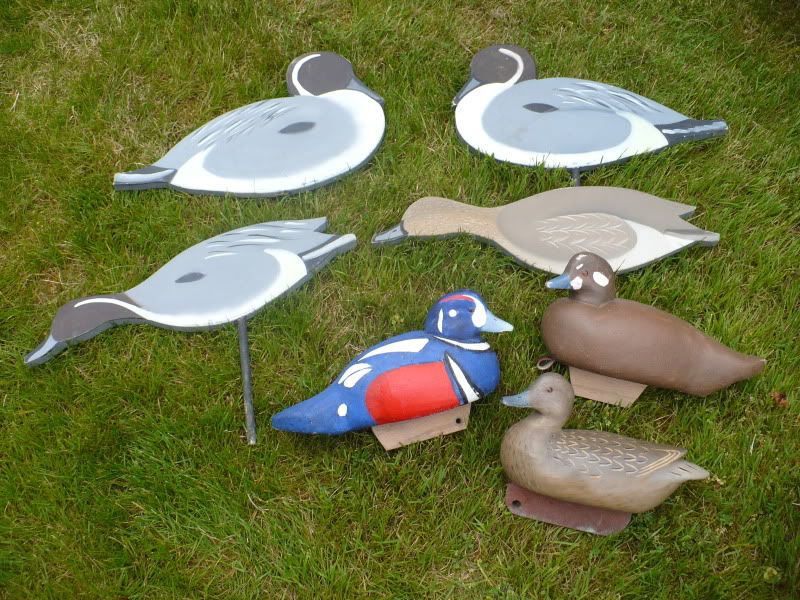 Main Forums Classifieds Homeade brant YBoards