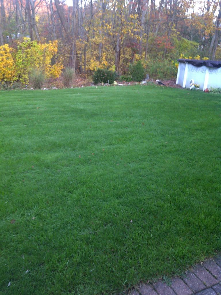 IMG-20121026-00813_zpsda6059b2.jpg