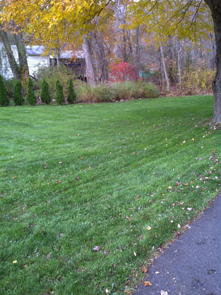 Shelton-20131102-01254_zpseefed434.jpg