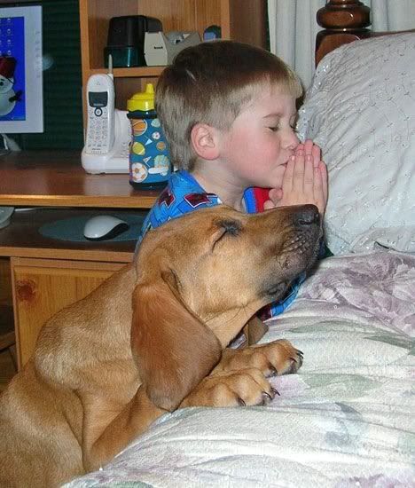 Prayers.jpg Prayers image by angel_jackson99206