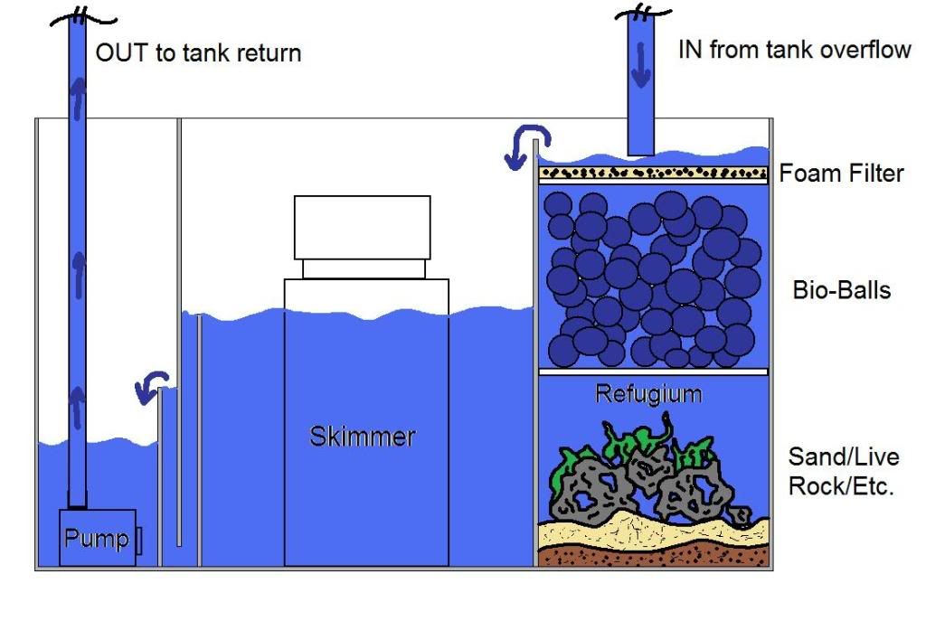 Sump Tank Setup