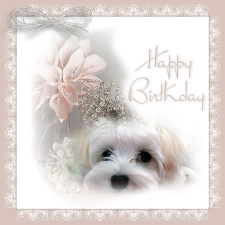 HappyBirthdayPuppy.jpg Happy Birthday Puppy image by KerryAnne_album