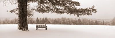 FIRST SNOW Pictures, Images and Photos