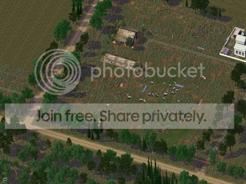 09-7.jpg