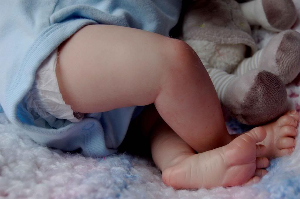 Handsome Reborn Baby Boy Mixed Kit Truely A OOAK Mr Hair GHSP So Cute