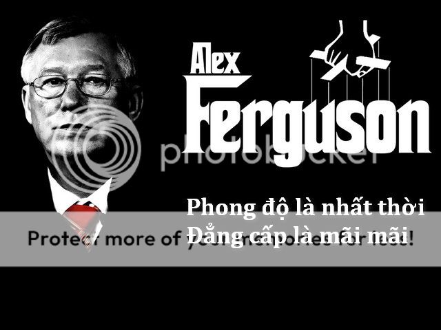  photo alex-ferguson-traderviet_zps37rknldl.jpg