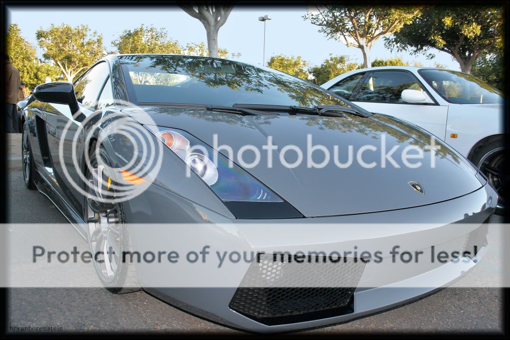 https://i273.photobucket.com/albums/jj219/BryanBorenstein/Murcielago1-1.jpg