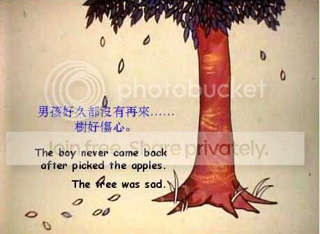 2B443355.jpg