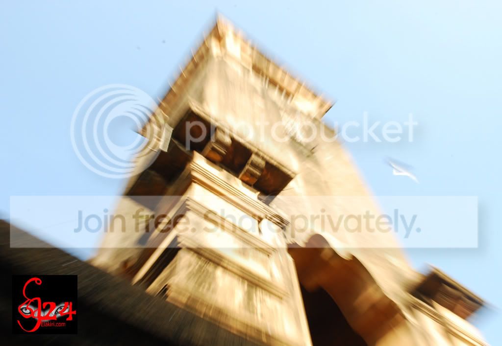 DSC_0059V.jpg