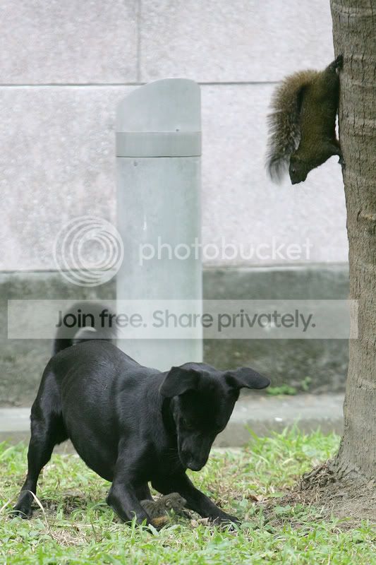 image001-3.jpg