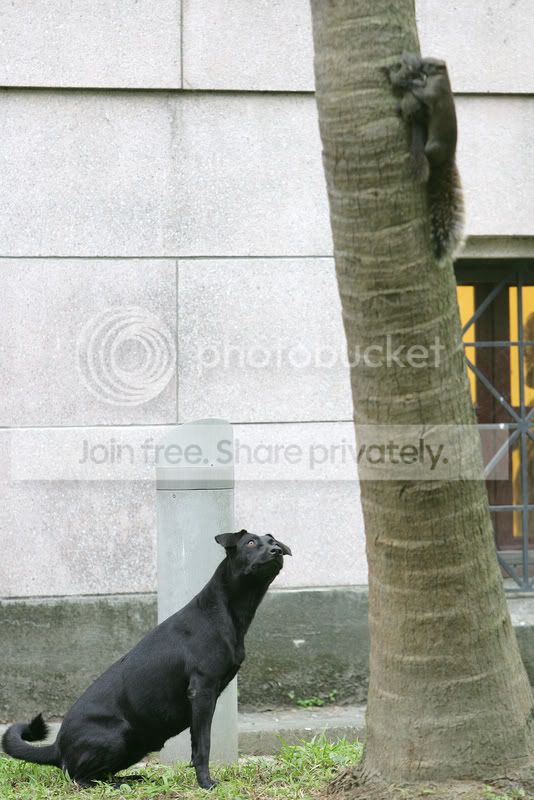 image004-2.jpg
