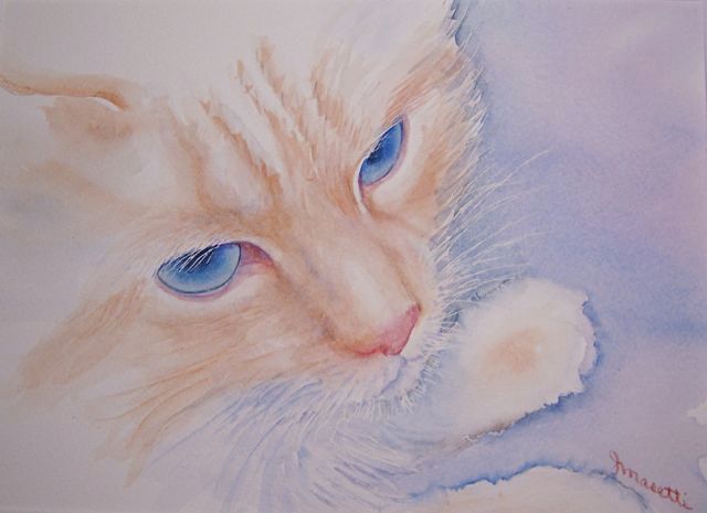 cat,Willow