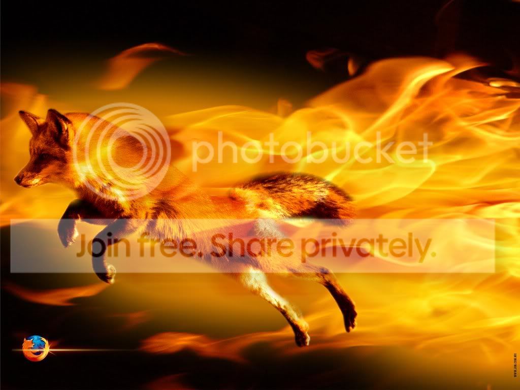 TheFirefox.jpg