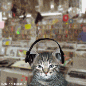 image001-3.gif