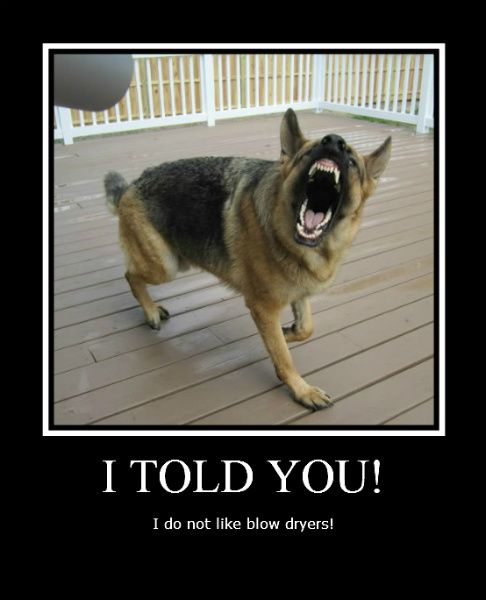 Fun with Captions - Page 2 - German Shepherd Dog Forums Fun with Captions - Page 2 - German Shepherd Dog Forums