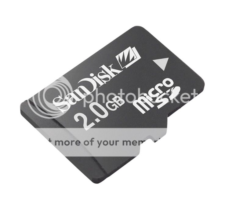 Lot of 2 X 2GB Micro SD Flash Memory Card  