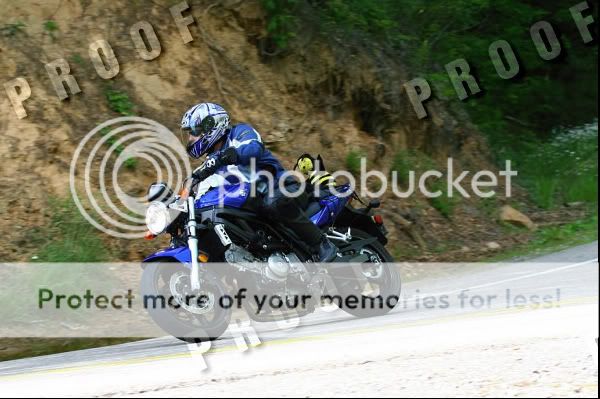 Rally Bee Sightings! | Suzuki SV650 Riders Forum